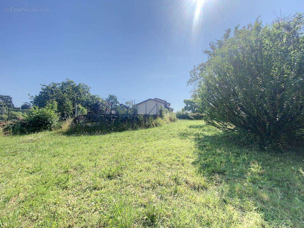 Terrain à CHOZEAU