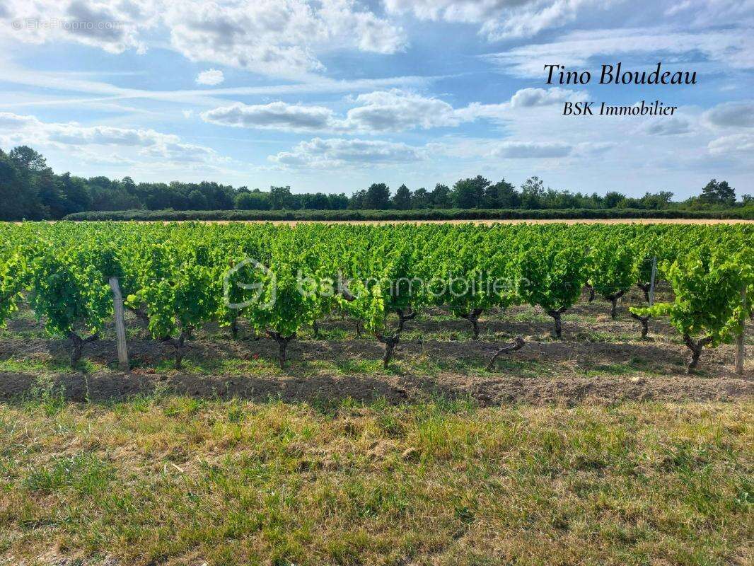 Maison à SAINT-GEORGES-SUR-CHER