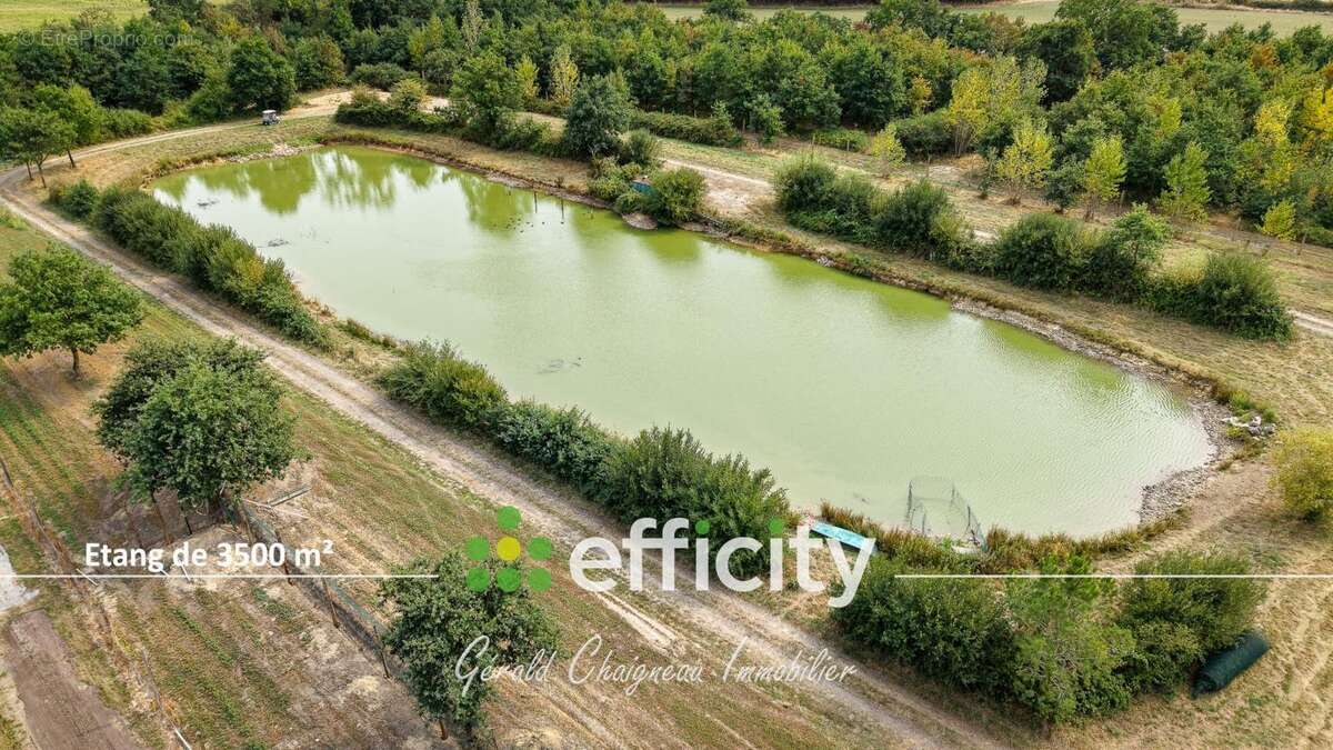 Maison à SAINT-PHILBERT-DE-GRAND-LIEU