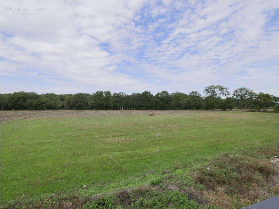 Maison à SENS-DE-BRETAGNE