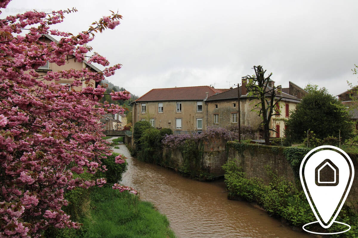 Appartement à RAON-L&#039;ETAPE