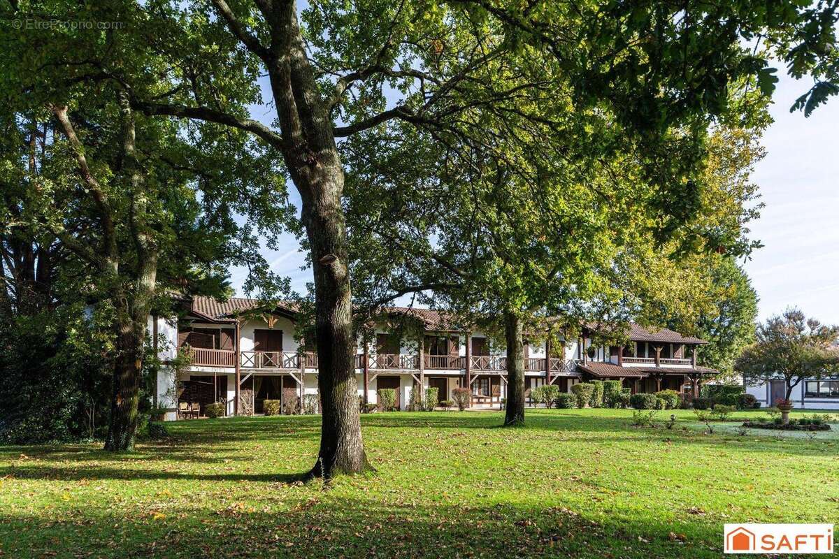 Photo 3 - Commerce à SABRES