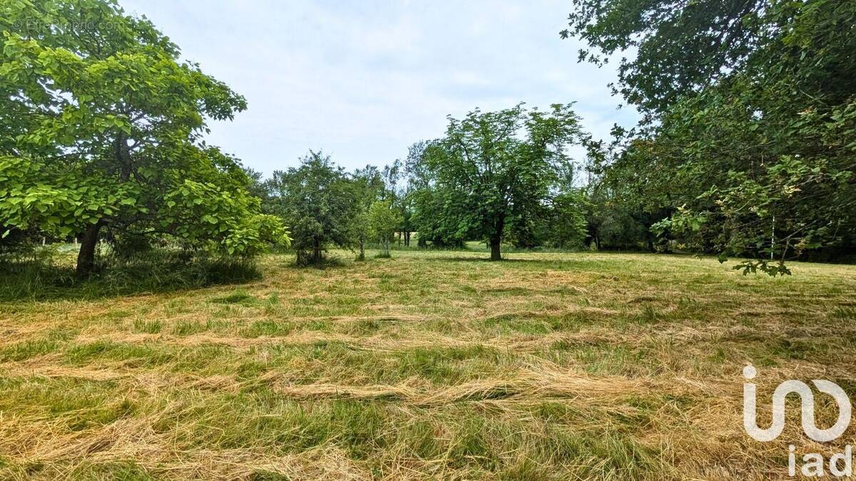 Photo 1 - Terrain à MONTENDRE