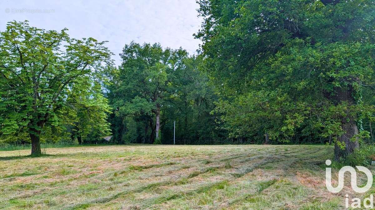 Photo 3 - Terrain à MONTENDRE