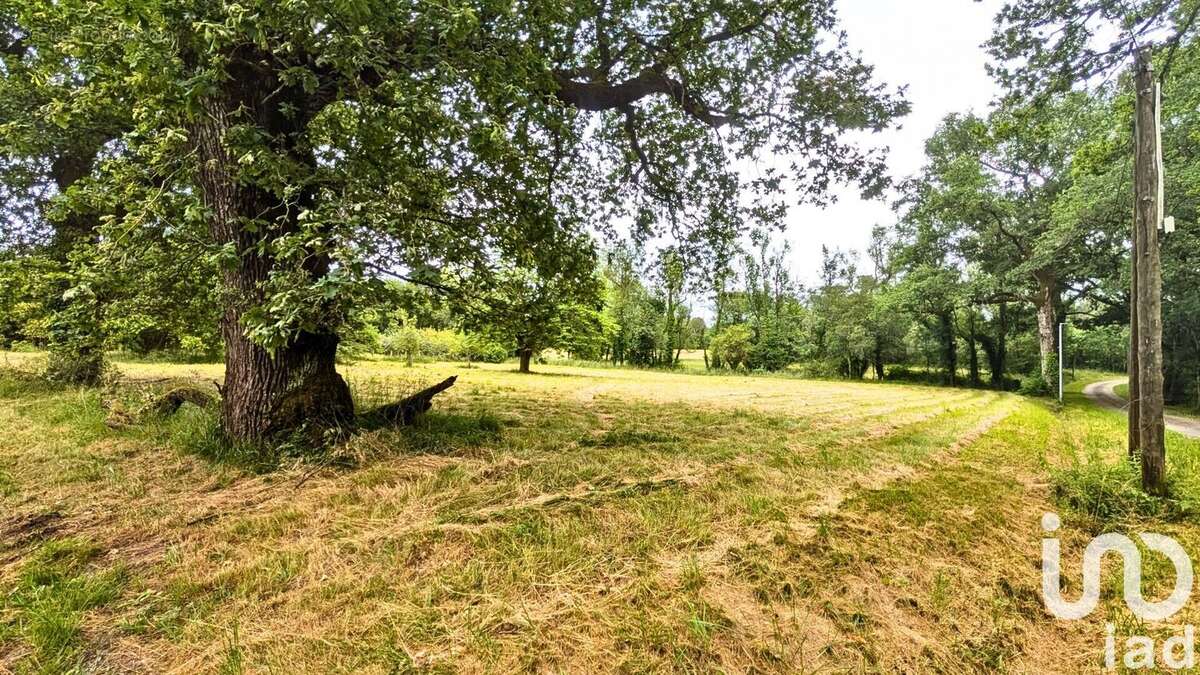 Photo 4 - Terrain à MONTENDRE