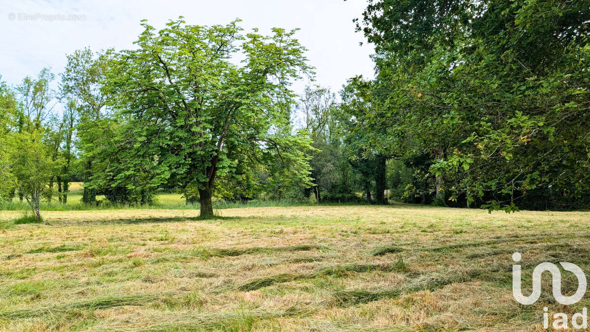Photo 5 - Terrain à MONTENDRE