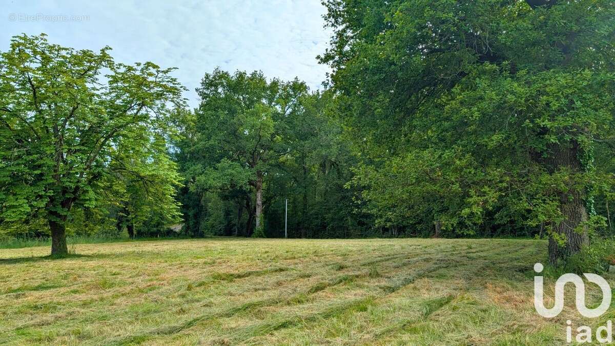 Photo 6 - Terrain à MONTENDRE