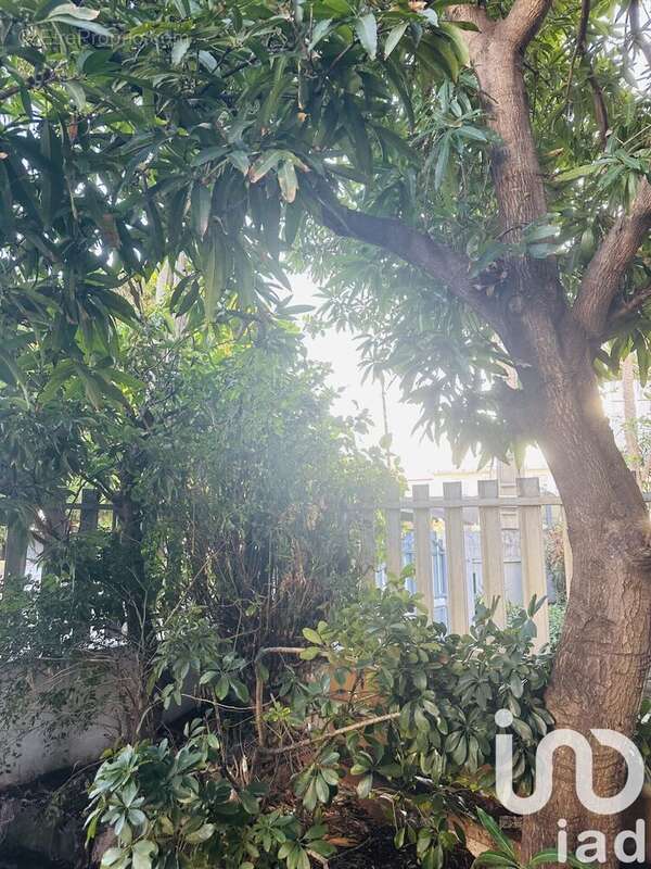 Photo 3 - Maison à SAINT-PIERRE