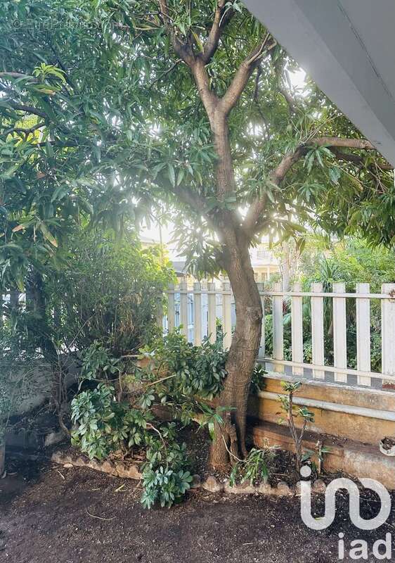 Photo 4 - Maison à SAINT-PIERRE