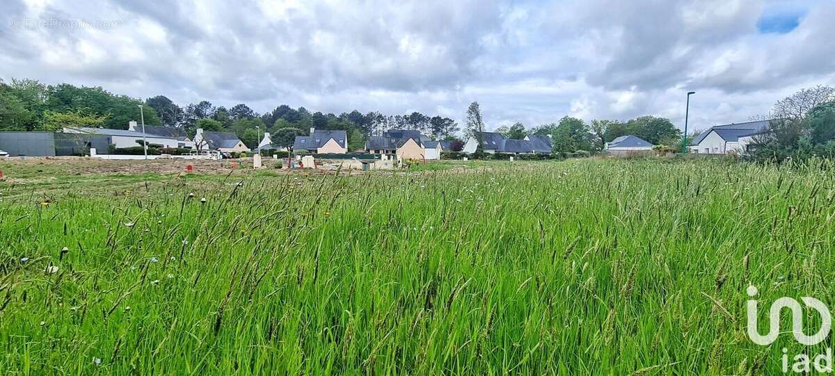 Photo 3 - Terrain à CRACH