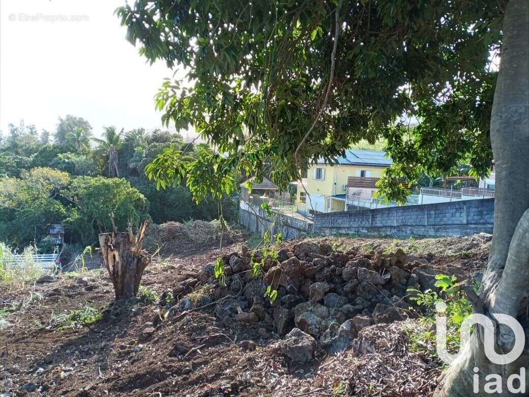 Photo 2 - Terrain à SAINT-JOSEPH