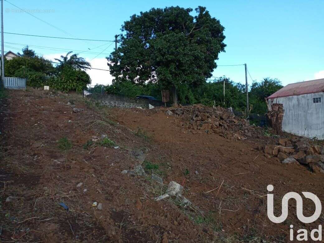 Photo 4 - Terrain à SAINT-JOSEPH