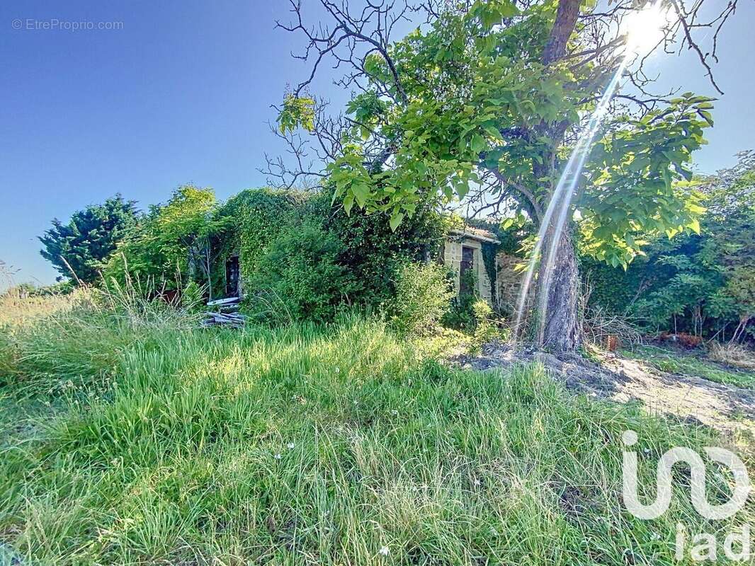 Photo 3 - Maison à FARGUES