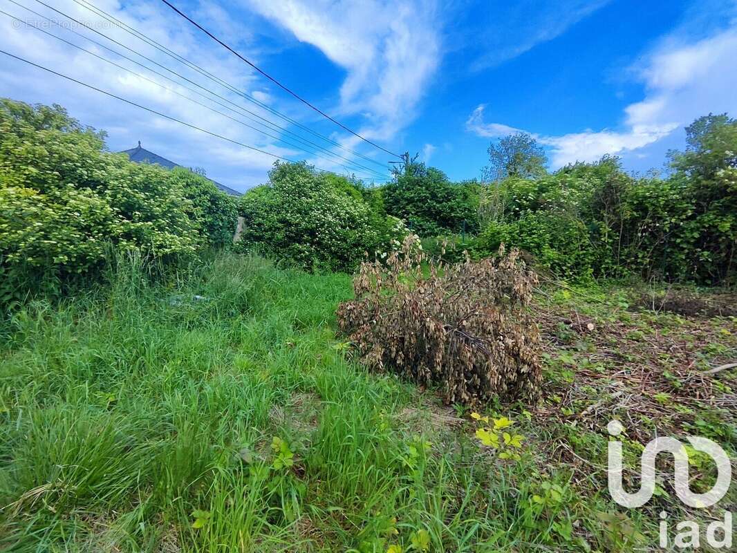 Photo 2 - Terrain à JUVIGNY