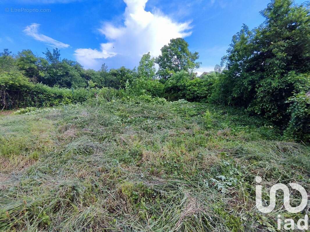 Photo 3 - Terrain à JUVIGNY