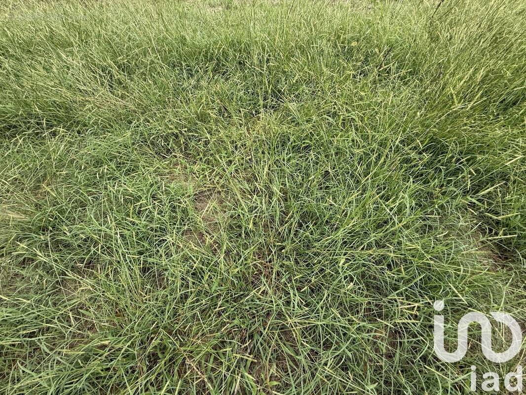 Photo 1 - Terrain à SANGUINET