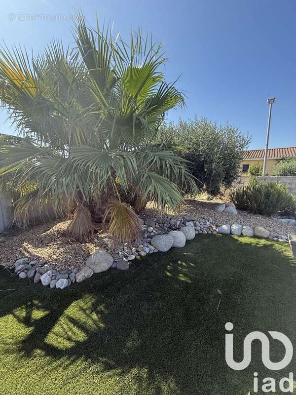 Photo 2 - Maison à SAINT-ANDRE-DE-ROQUELONGUE