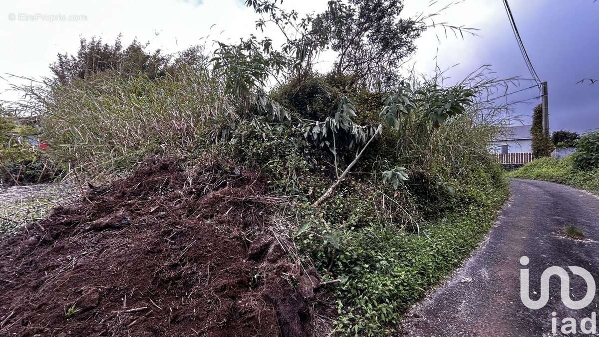 Photo 3 - Terrain à LA PLAINE-DES-PALMISTES