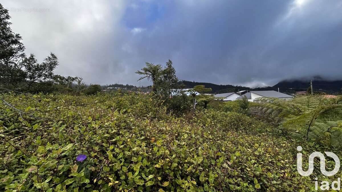 Photo 5 - Terrain à LA PLAINE-DES-PALMISTES