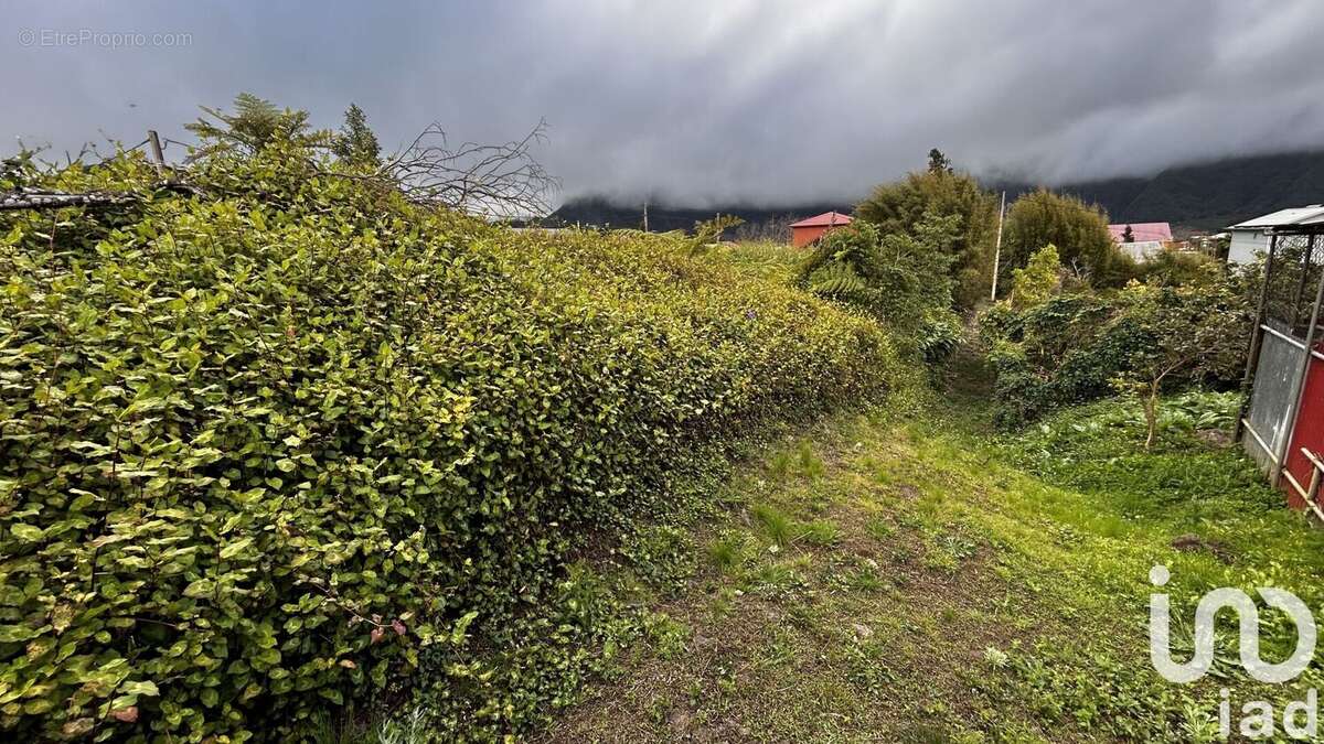 Photo 6 - Terrain à LA PLAINE-DES-PALMISTES