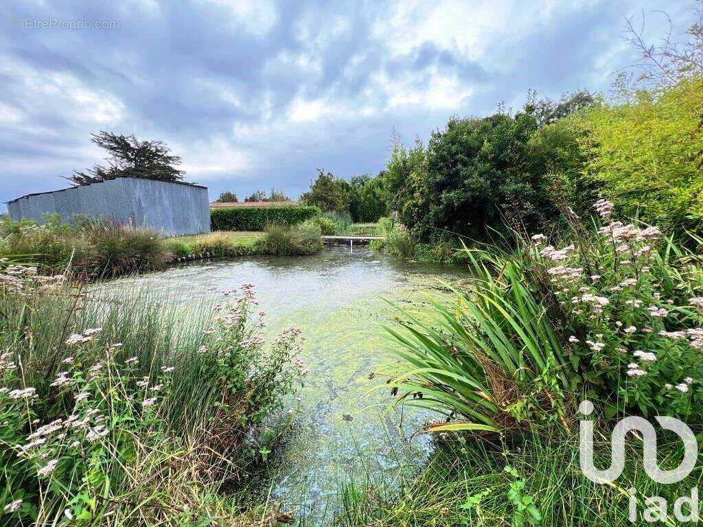 Photo 1 - Terrain à L&#039;ILE-D&#039;OLONNE