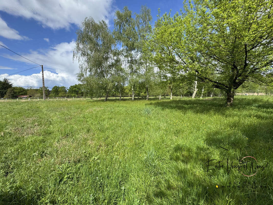 TERRAIN 9000m2 - Maison à BAZAS