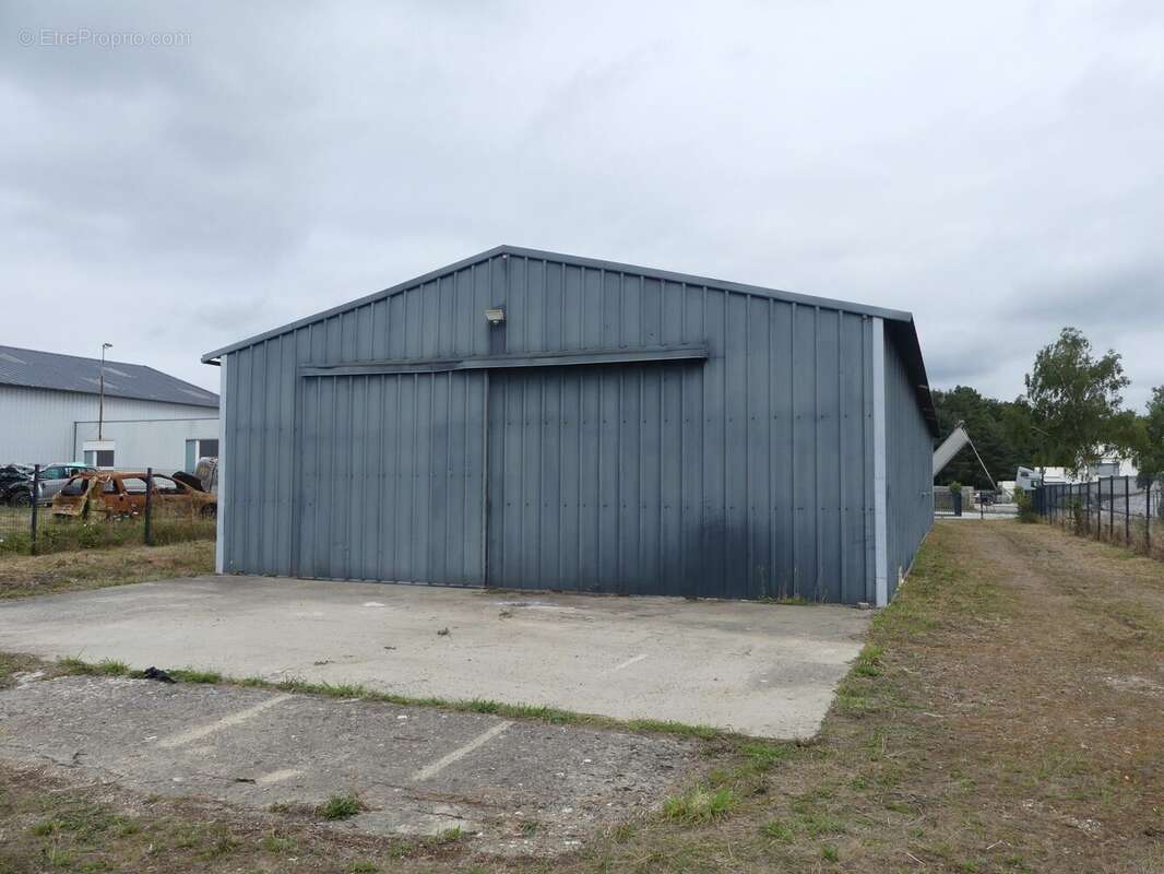 Commerce à SAINTE-MARIE