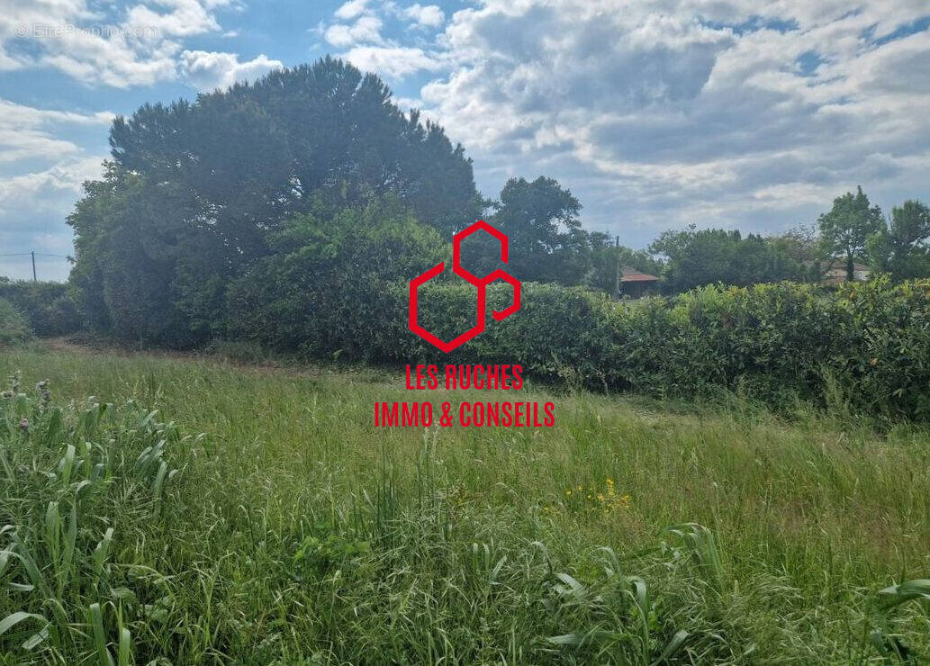 Terrain à FONTENAY-TRESIGNY