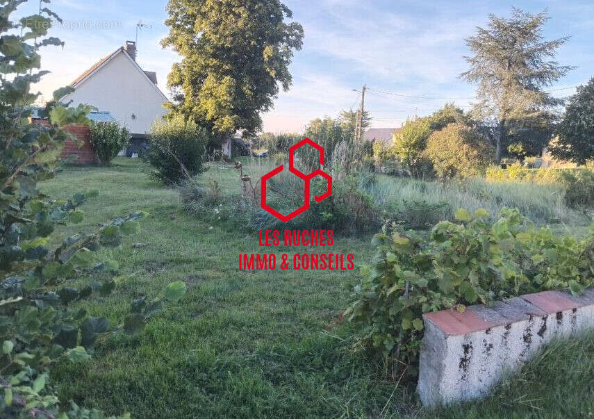 Terrain à COULOMMIERS