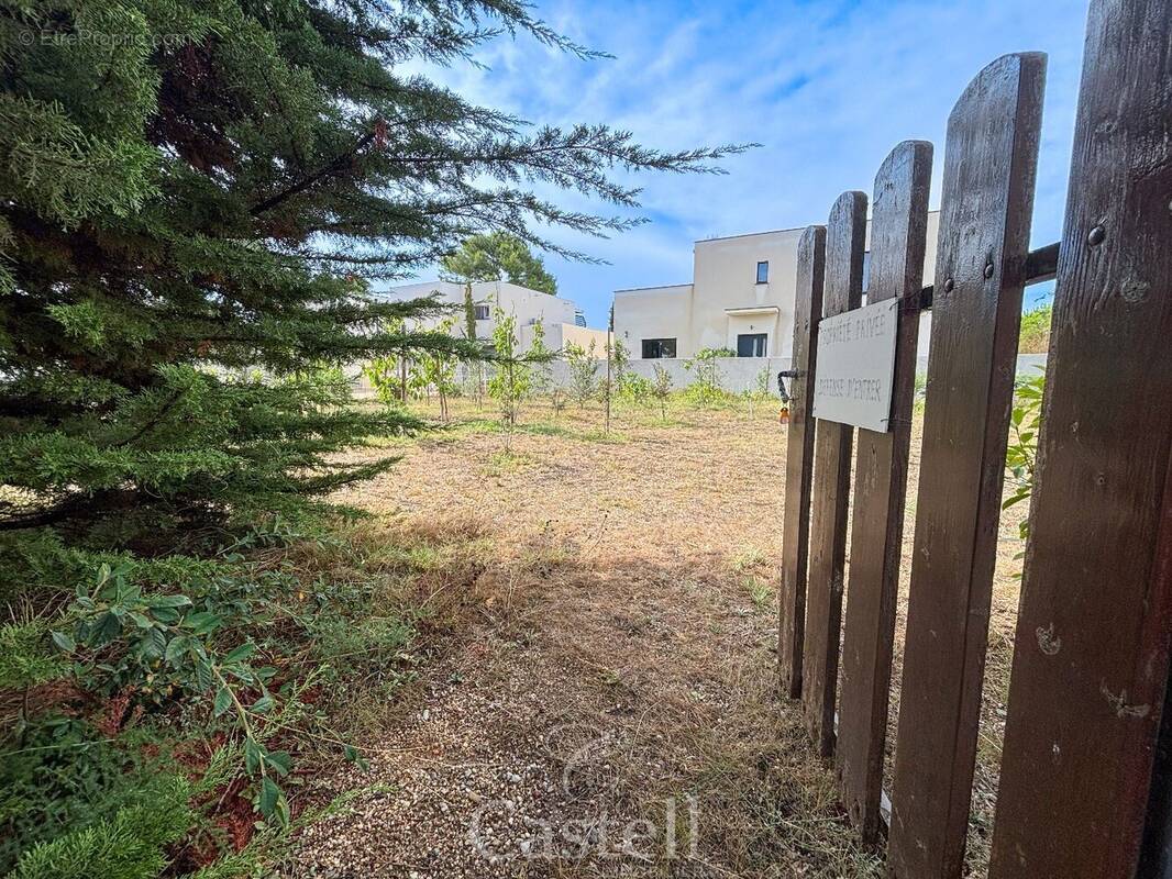 Terrain à MARSEILLAN