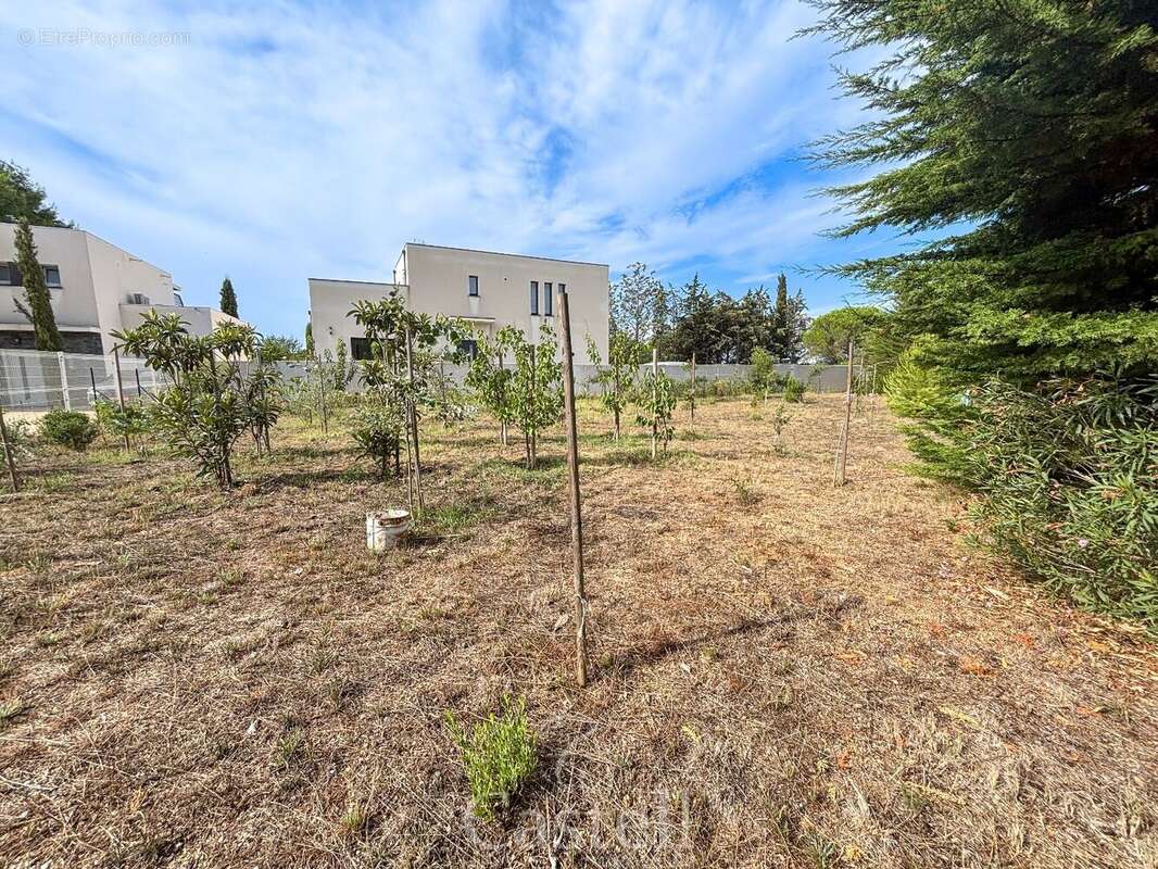 Terrain à MARSEILLAN
