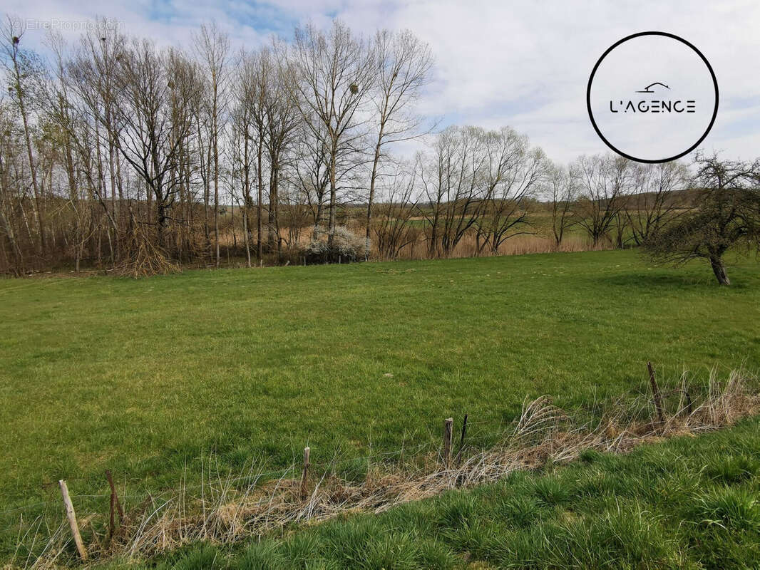 Terrain à BENAMENIL