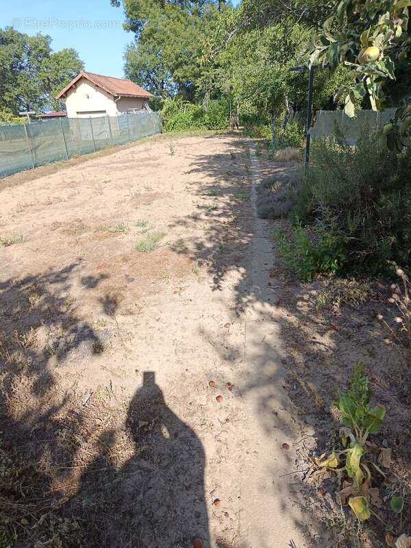 Maison à ROCHECHOUART