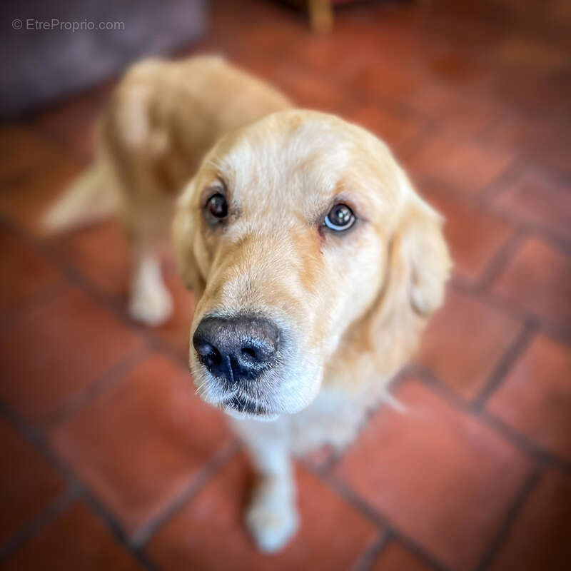 Maison à PENNE-D&#039;AGENAIS