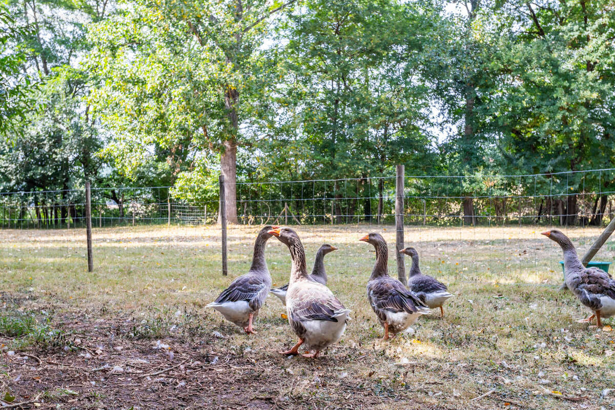 Maison à PENNE-D&#039;AGENAIS