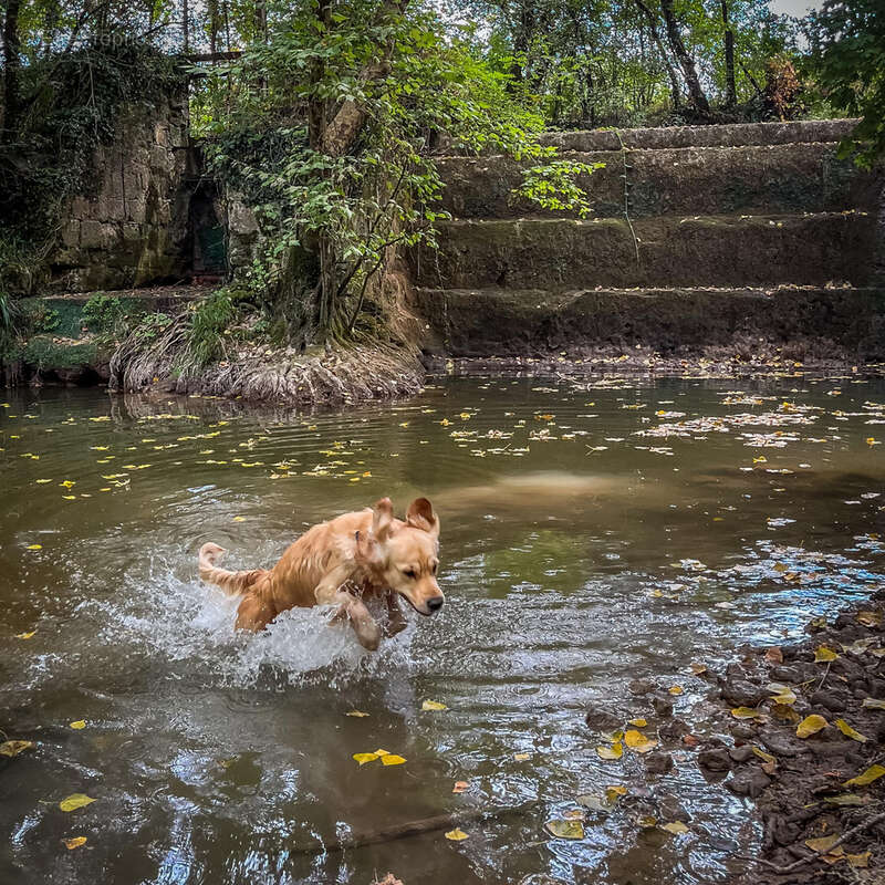 Maison à PENNE-D&#039;AGENAIS