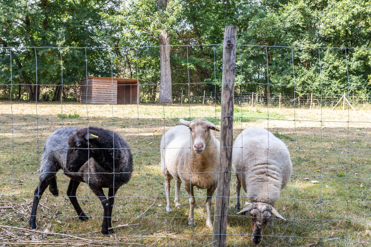 Maison à PENNE-D&#039;AGENAIS