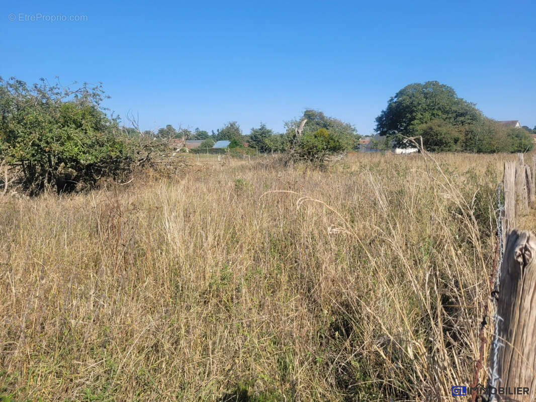 Terrain à GRAINVILLE-LANGANNERIE
