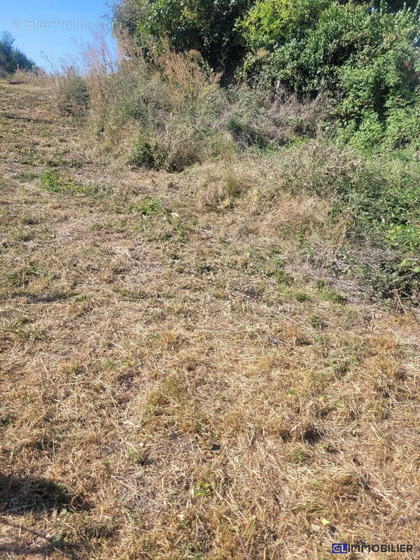 Terrain à GRAINVILLE-LANGANNERIE