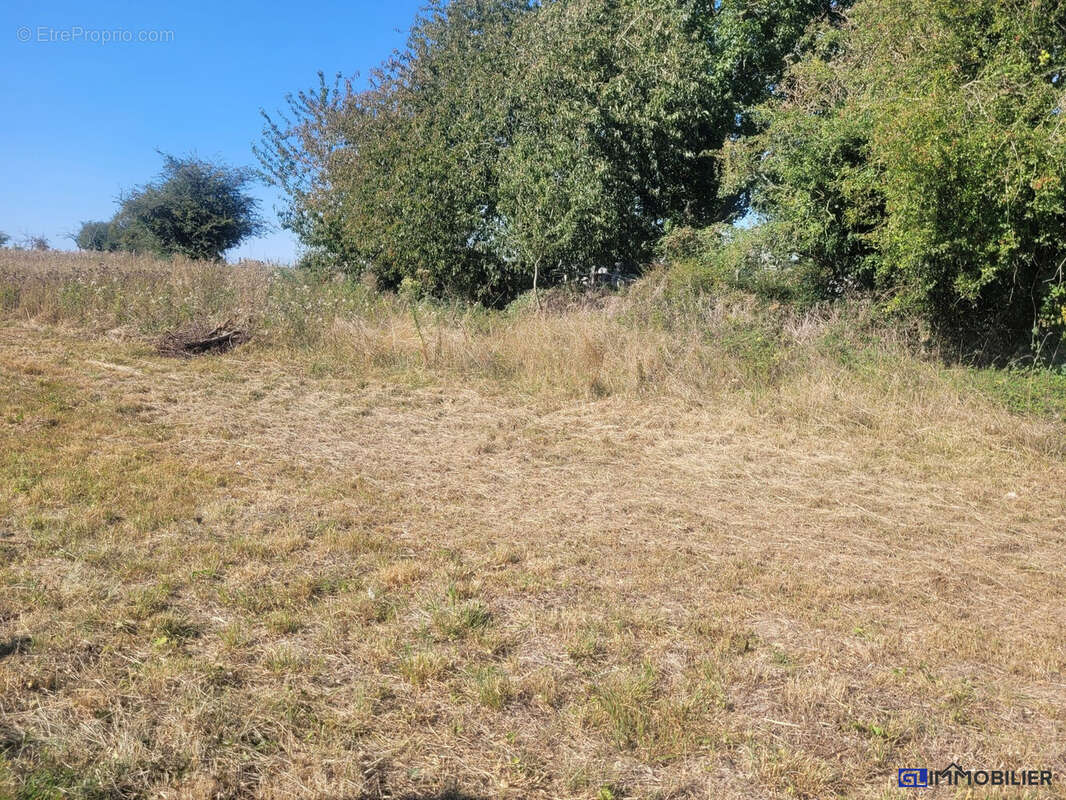 Terrain à GRAINVILLE-LANGANNERIE