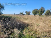 Terrain à GRAINVILLE-LANGANNERIE