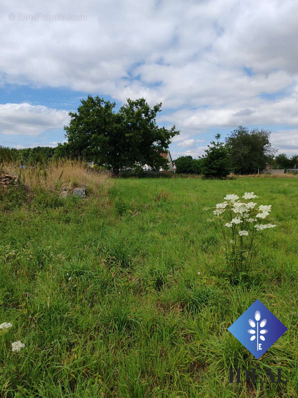 Terrain à BLARU