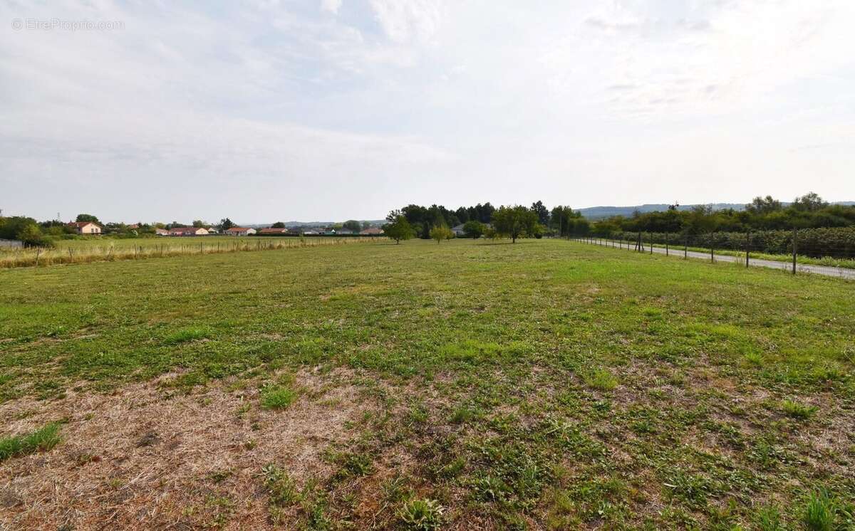 Terrain à CREUZIER-LE-NEUF