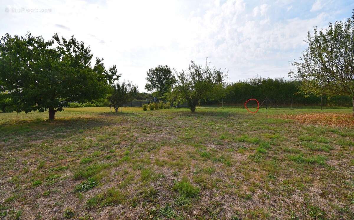 Terrain à CREUZIER-LE-NEUF