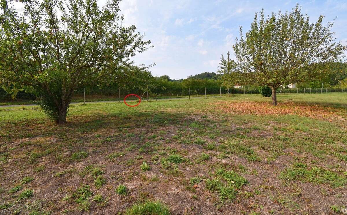 Terrain à CREUZIER-LE-NEUF