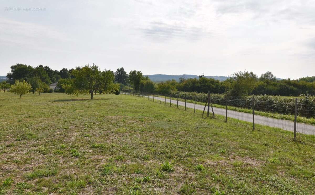 Terrain à CREUZIER-LE-NEUF