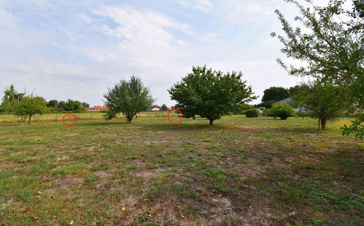 Terrain à CREUZIER-LE-NEUF