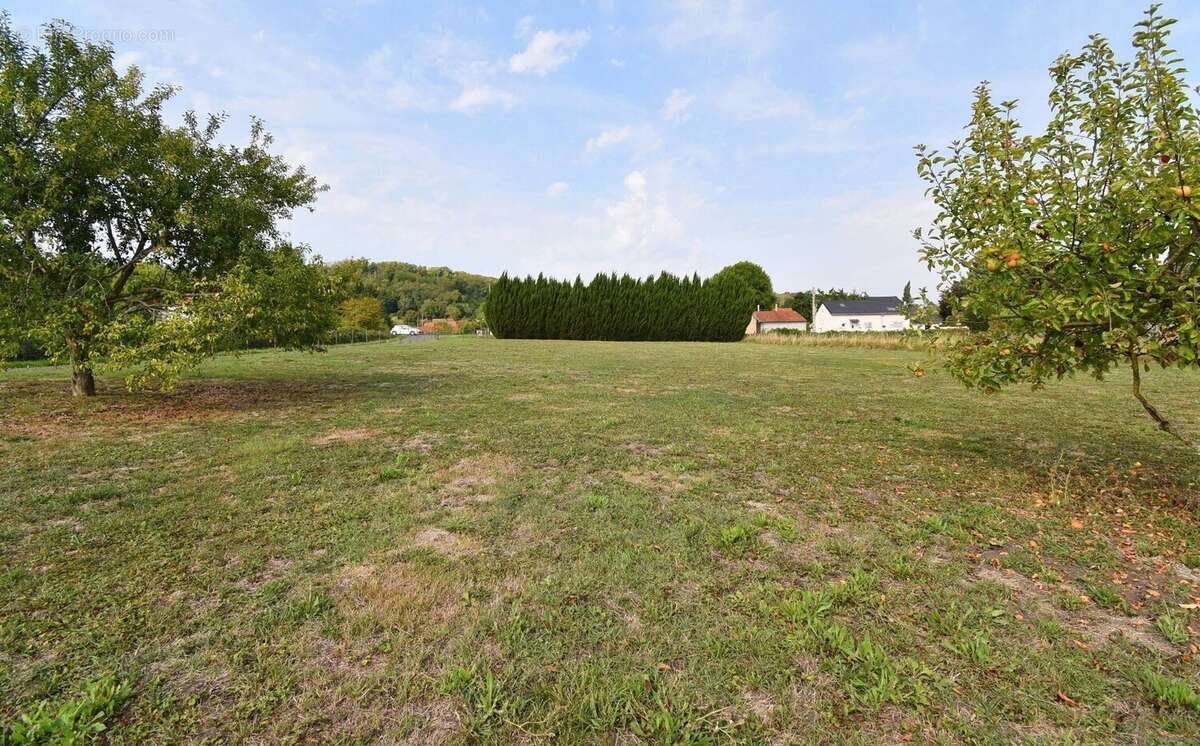 Terrain à CREUZIER-LE-NEUF