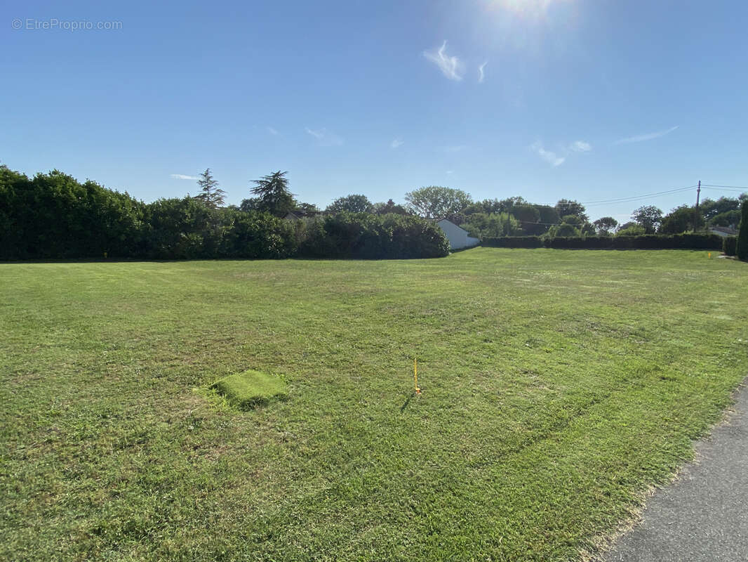 Terrain à BESSIERES