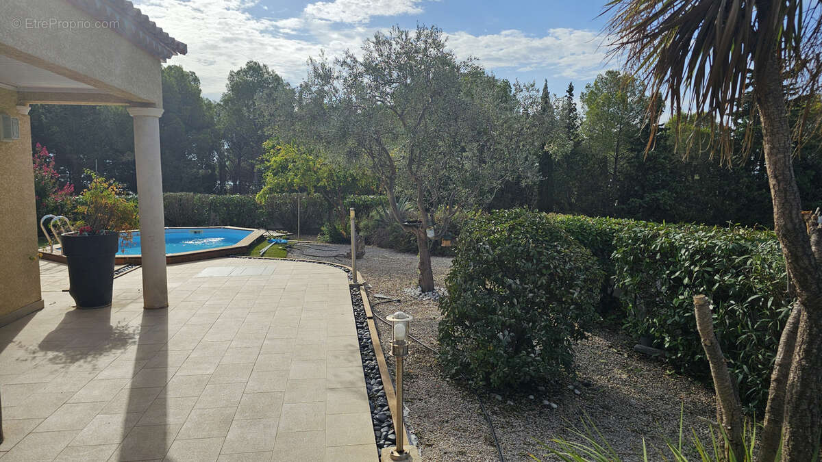 Maison à FRONTIGNAN